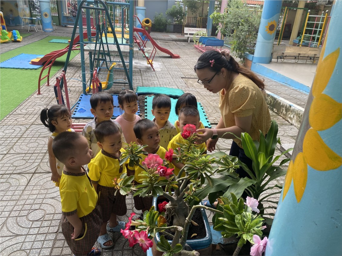 Ảnh đại diện